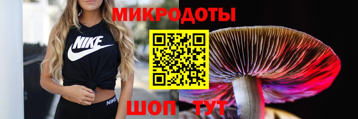 Псилоцибиновые грибы Cubensis Будённовск